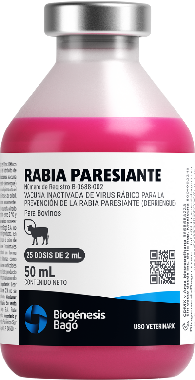 RABIA PARESIANTE